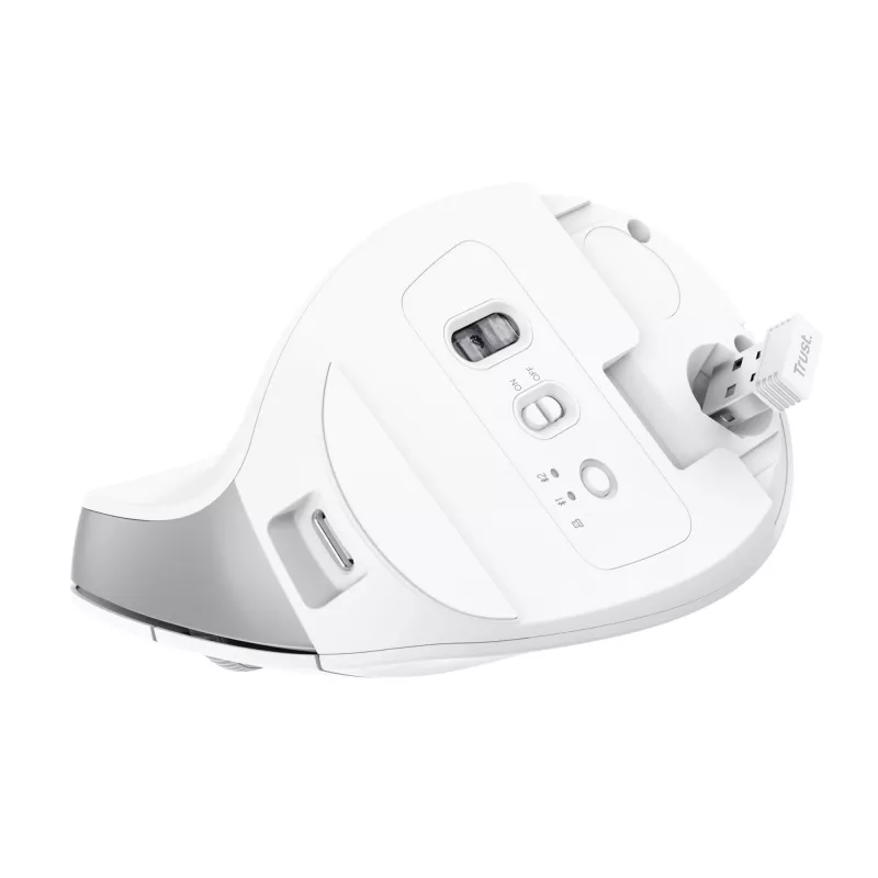 Trust Bayo+ pelė Office, dešinei rankai, RF belaidė + Bluetooth, optinė 2400 DPI