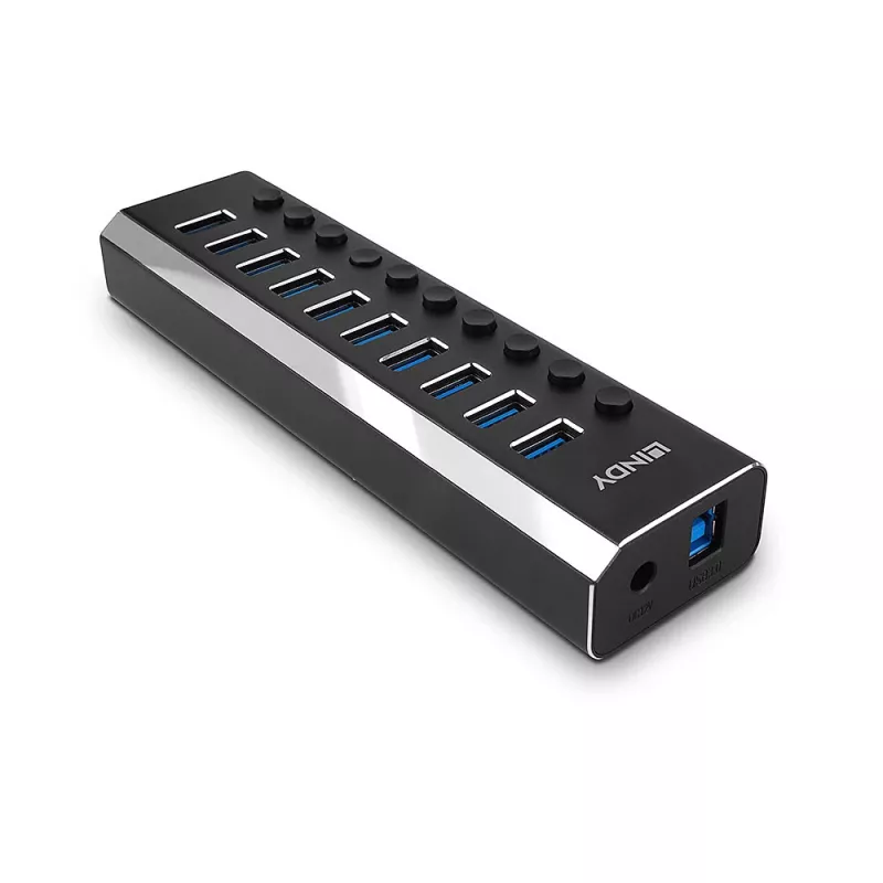 Lindy 10 portų USB 3.0 šakotuvas su įjungimo/išjungimo mygtukais