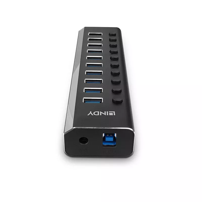 Lindy 10 portų USB 3.0 šakotuvas su įjungimo/išjungimo mygtukais