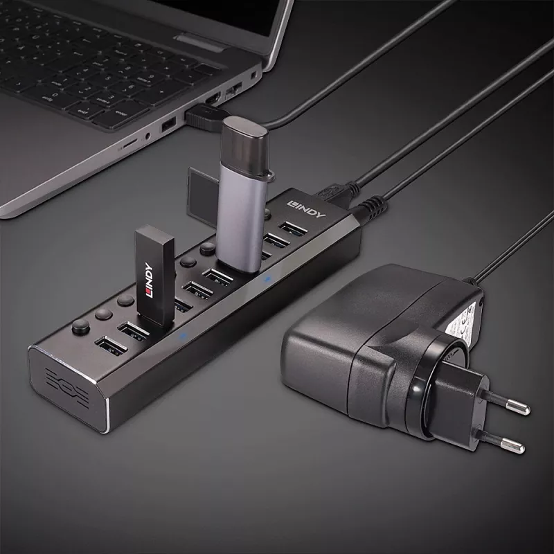 Lindy 10 portų USB 3.0 šakotuvas su įjungimo/išjungimo mygtukais