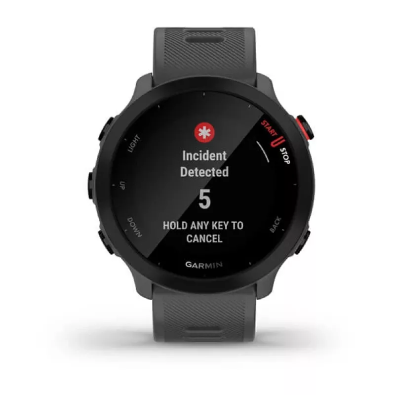 Garmin Forerunner 55 išmanusis laikrodis (42 mm), GPS, pilkas