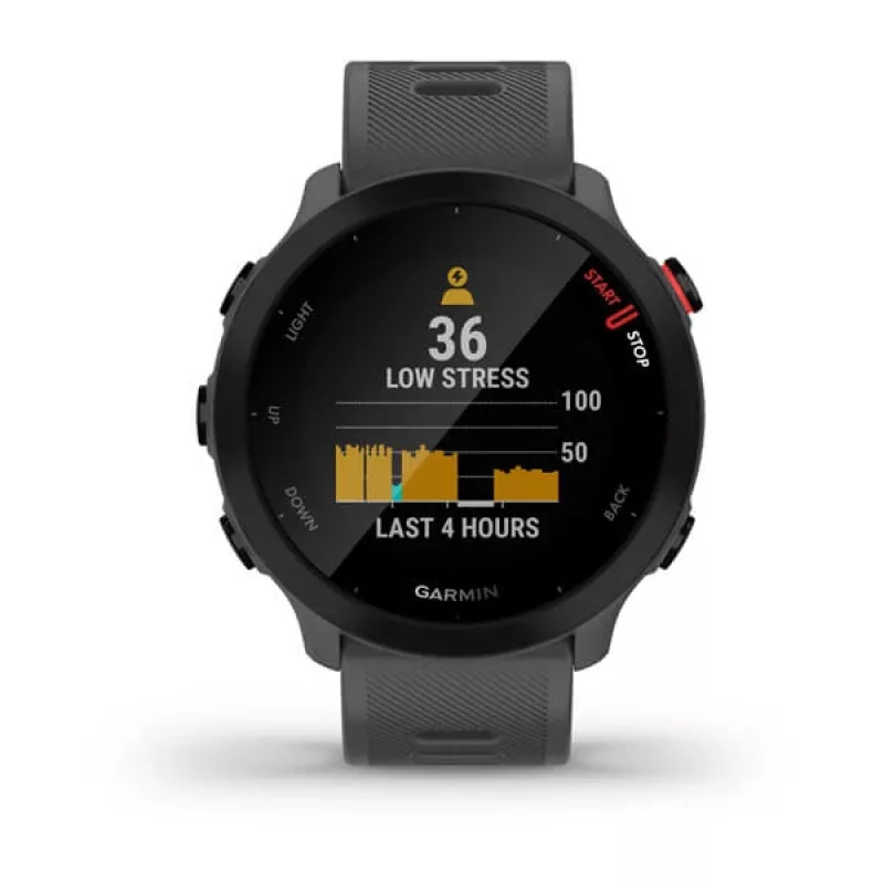 Garmin Forerunner 55 išmanusis laikrodis (42 mm), GPS, pilkas