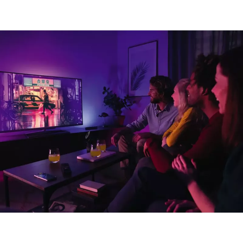 Philips Hue White and colour ambience Play šviesos juostos prailginimo rinkinys