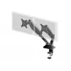 IIyama DS3002C-B1 dviejų monitorių laikiklis / stovas 68.6 cm (27 col.) stalas Juoda