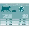 Purina ONE Adult sausas kačių maistas su lašiša, 9,75 kg