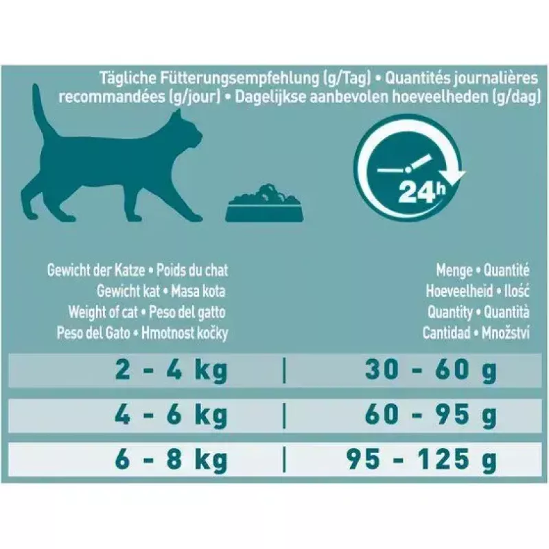 Purina ONE Adult sausas kačių maistas su lašiša, 9,75 kg