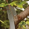 Sodo mačetė Fiskars 1051236 nerūdijantis plienas oranžinė rankena