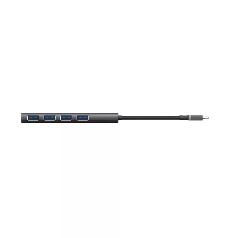 Trust Halyx USB 3.2 Gen 1 (3.1 Gen 1) Type-A 5 Gbps pilkas USB centras