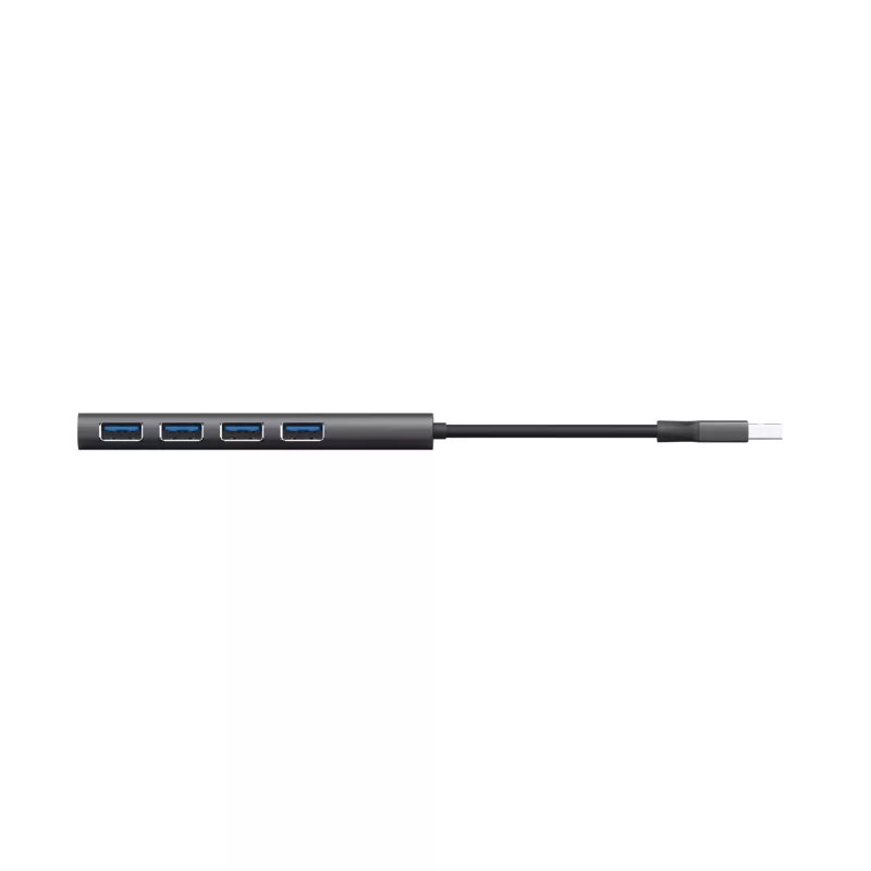 Trust Halyx USB 3.2 Gen 1 (3.1 Gen 1) Type-A 4 prievadų USB šakotuvas, juoda/pilka