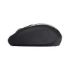 Trust 24658 pelė Office Ambidextrous RF Belaidė Optinė 1600 DPI