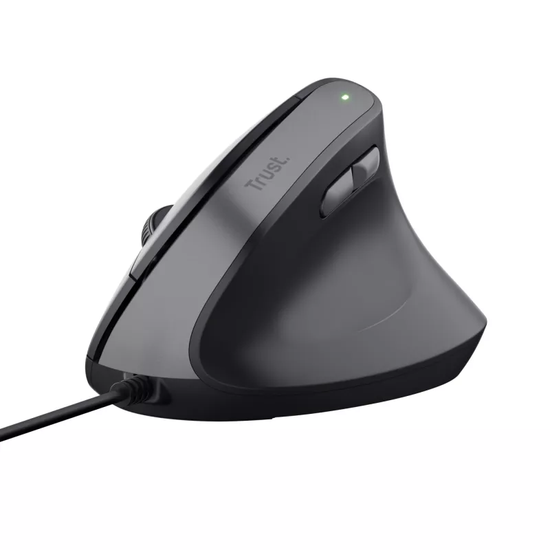 Trust Bayo II pelė dešiniarankiams USB Type-A 2400 DPI
