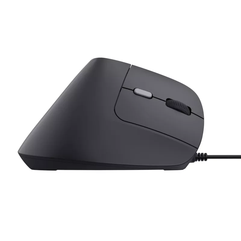Trust Bayo II pelė dešiniarankiams USB Type-A 2400 DPI