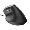 Trust Bayo II pelė dešiniarankiams USB Type-A 2400 DPI