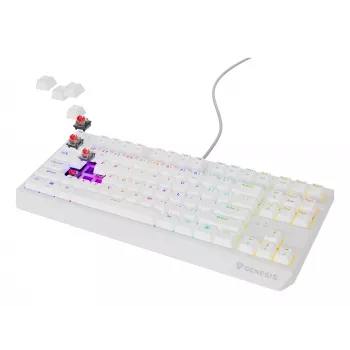 GENESIS Thor 230 TKL klaviatūra žaidimams USB QWERTY JAV anglų balta