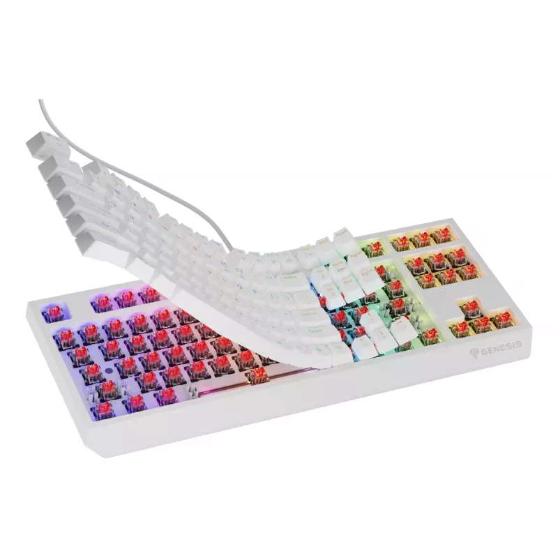GENESIS Thor 230 TKL klaviatūra žaidimams USB QWERTY JAV anglų balta