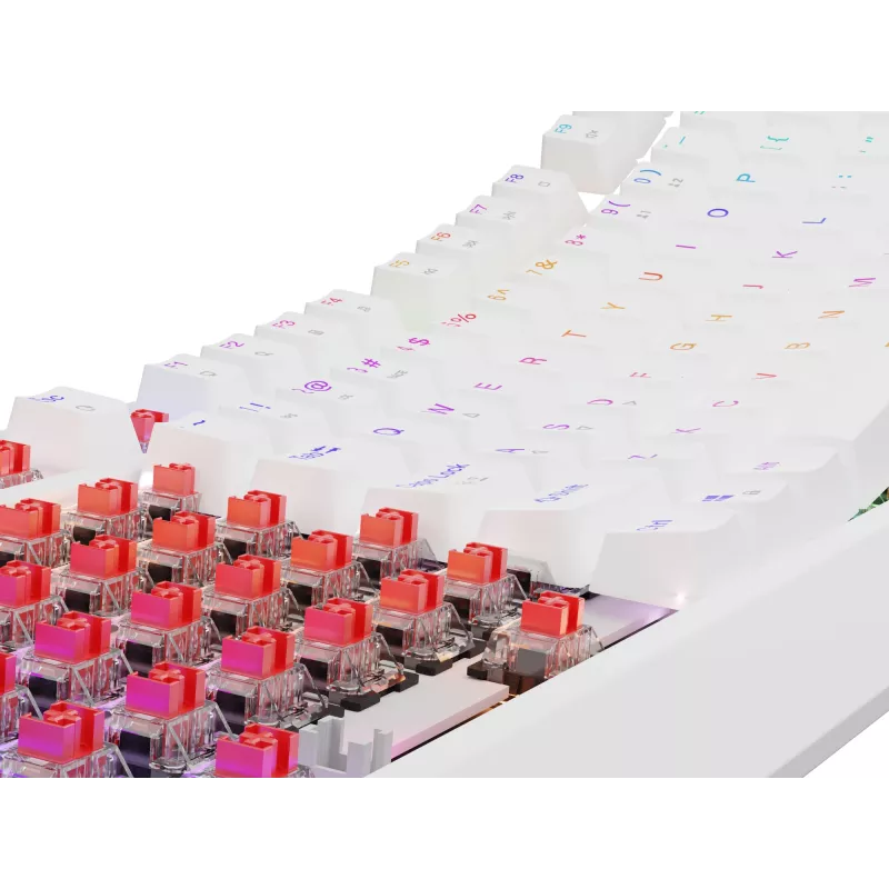 GENESIS Thor 230 TKL klaviatūra žaidimams USB QWERTY JAV anglų balta