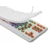 GENESIS Thor 230 TKL klaviatūra žaidimams USB QWERTY JAV anglų balta