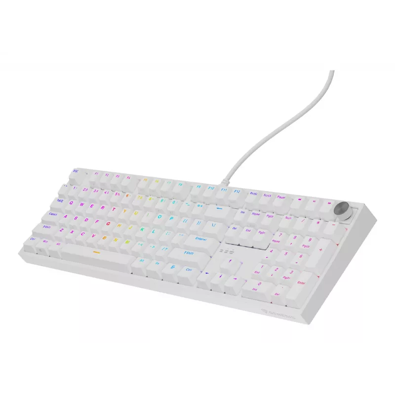 GENESIS NKG-2300 klaviatūra, laidinė, USB, mechaninė, QWERTY, RGB LED, balta