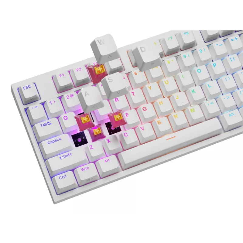GENESIS NKG-2300 klaviatūra, laidinė, USB, mechaninė, QWERTY, RGB LED, balta