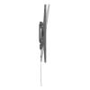 Tilt TV laikiklis GEMBIRD WM-86T-01 37–86 col. ekranams, plienas, pakreipimas -5°–10°, VESA 75x75–600x400, max apkrova 75 kg