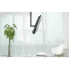 Neomounts FPMA-C060BLACK lubinis laikiklis monitoriui/TV 10-40 colių - aukštis 60-85 cm
