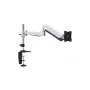 Equip 13 inch–27 inch Artikuliuojamas monitoriaus stovas su dujine spyruokle