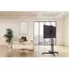 Equip Economy Daugiafunkcinis TV vežimėlis, 50 kg, 94 cm (37 col.), 177,8 cm (70 col.), 600 x 400 mm, aukščio reguliavimas, juodas