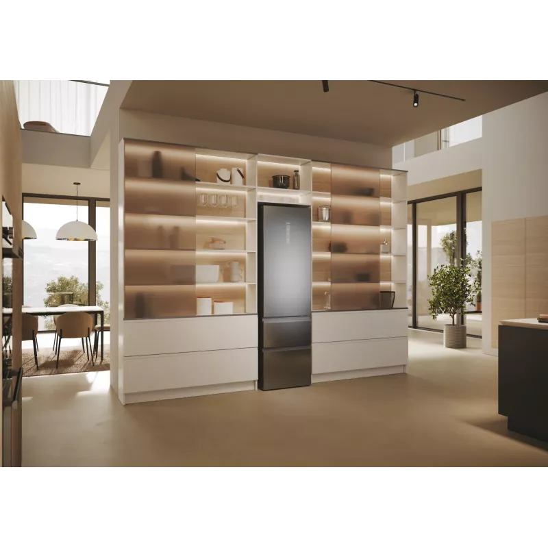 Haier 3D 60 Serie 5 HTW5620DNMG laisvai pastatomas šaldytuvas 414 L sidabrinis