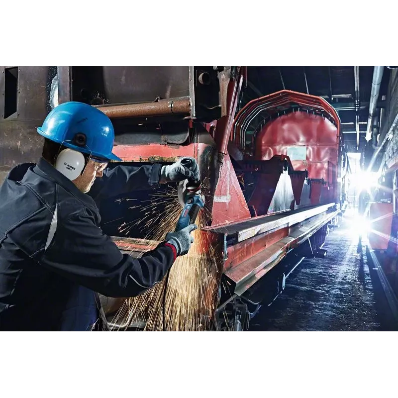 Bosch GWS 19-125 CIE Professional kampinis šlifuoklis 12,5 cm 11500 aps./min. 1900 W 2,4 kg