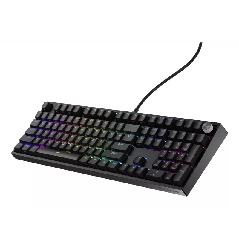 Mechaninė klaviatūra Genesis THOR 404 – pilno dydžio 100% USB QWERTY anglų, juoda, RGB