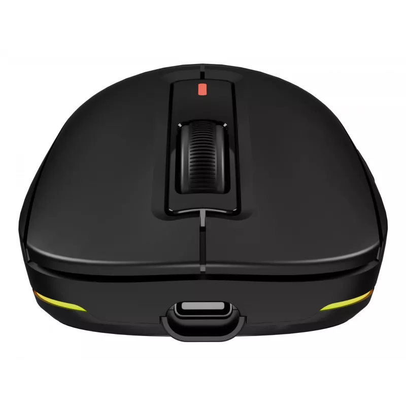 GENESIS NMG-2193 pelė žaidimams Ambidekstrinė Bluetooth + USB Type-C Optinė 26000 DPI