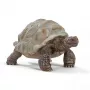 Figūrėlė, Schleich, WILD LIFE Milžiniškas vėžlys