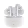 Belaidės ausinės Intenso White Buds T302A