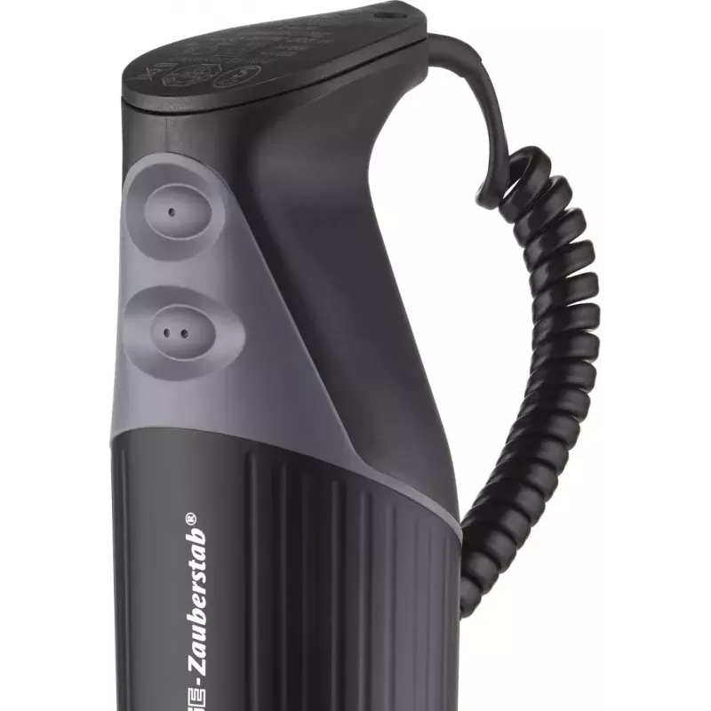 Panardinamas blenderis ESGE M 200 BBQ, 200 W, 10 L, juodas/chromas