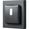 HomeMatic IP HmIP-SMI55-A judesio detektorius, antracitas – montavimas ant sienos / lubų, 55 rėmeliai
