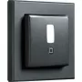 HomeMatic IP HmIP-SMI55-A judesio detektorius, antracitas – montavimas ant sienos / lubų, 55 rėmeliai