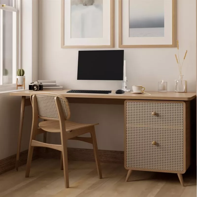 ERGOTRON NX Monitor Laikiklis - baltas