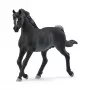 schleich HORSE CLUB Arabų eržilas, 5 m., arkliai, juoda, pilka, balta, plastikas