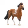 schleich HORSE CLUB Mangalarga Marchador eržilas, 5 m., arkliai, juoda, ruda, balta, plastikas