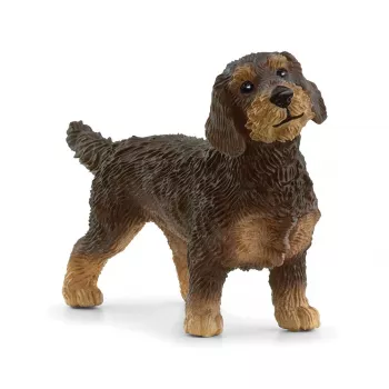 Schleich FARM WORLD Šiurkščiaplaukis taksas