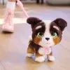 FurReal Walkalots Bernedoodle šuniukas, berniukas/mergaitė, 4 metai, garsas