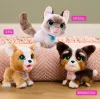 FurReal Poop-a-lots Corgi šunelis, berniukas/mergaitė, 4 metai, garsiniai efektai