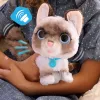 FurReal Wag-a-lots Kitty – interaktyvus katinėlis, berniukas/mergaitė, 4 m., garsas