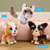 FurReal Wag-a-lots Kitty – interaktyvus katinėlis, berniukas/mergaitė, 4 m., garsas