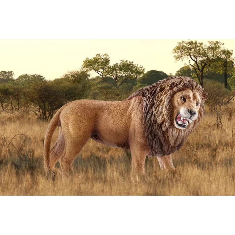 Schleich WILD LIFE Liūtas riaumojantis įvairiaspalvis plastikinis 3+ metų