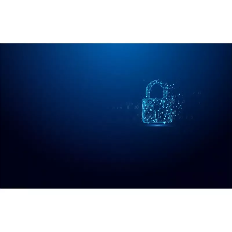 USB atmintukas Kingston 512GB IronKey Vault Privacy 50 AES-256