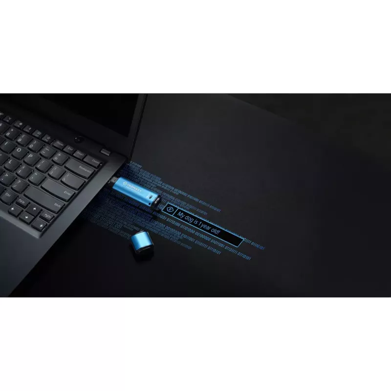 USB atmintukas Kingston 256GB USB-A IronKey Vault Privacy 50