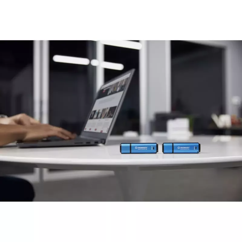 USB atmintukas Kingston 256GB USB-A IronKey Vault Privacy 50