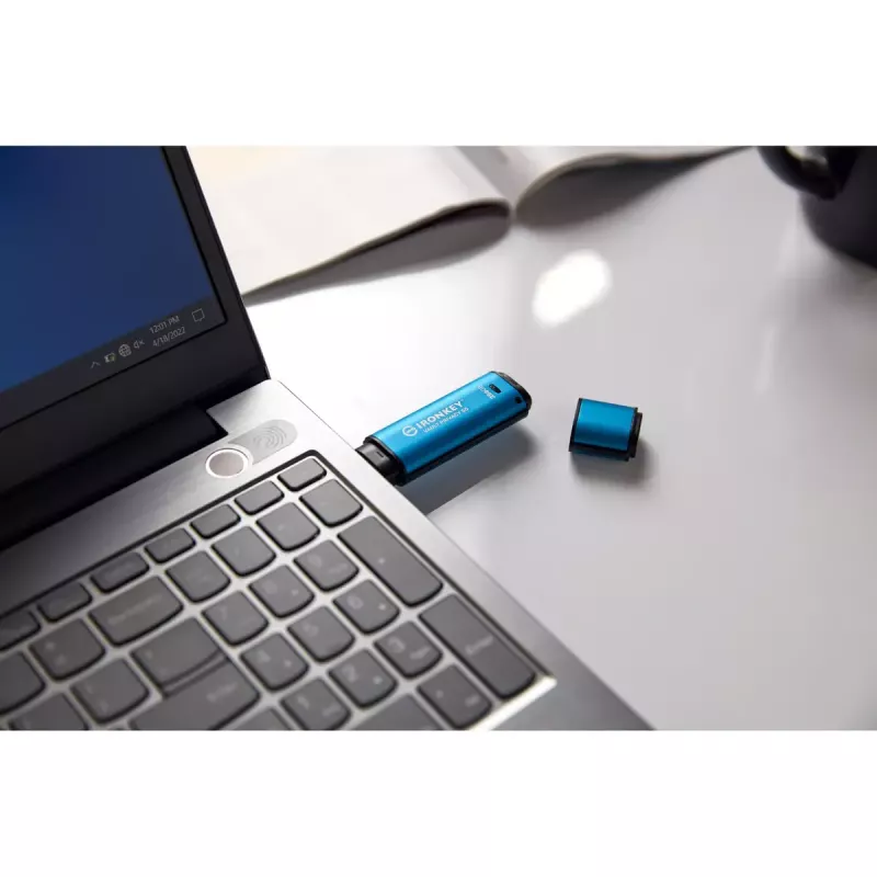 USB atmintukas Kingston 256GB USB-A IronKey Vault Privacy 50