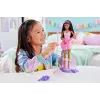 Barbie 65-ųjų metinių karjeros lėlė Pop žvaigždė su 10 aksesuarų, įskaitant besisukančią sceną